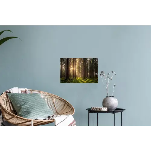 Bos - Gras - Zonlicht Muursticker klein -plant
