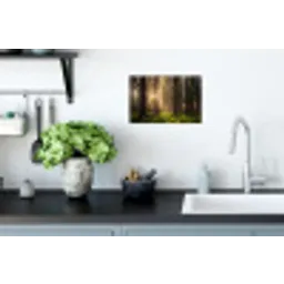 Bos - Gras - Zonlicht Muursticker klein -keuken