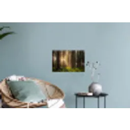 Bos - Gras - Zonlicht Muursticker klein -plant
