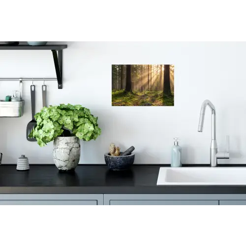 Bos - Zonlicht - Gras Muursticker klein -keuken