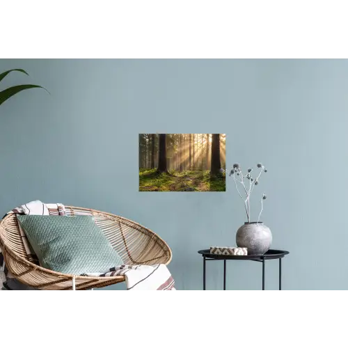 Bos - Zonlicht - Gras Muursticker klein -plant