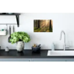Bos - Zonlicht - Gras Muursticker klein -keuken