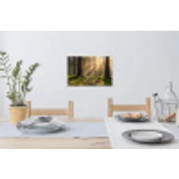 Bos - Zonlicht - Gras Muursticker klein -eettafel