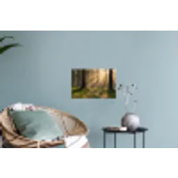 Bos - Zonlicht - Gras Muursticker klein -plant