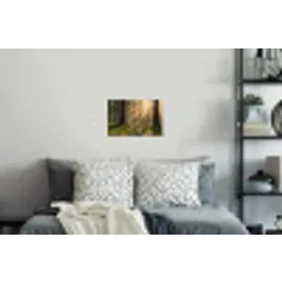 Bos - Zonlicht - Gras Muursticker klein -slaapkamer