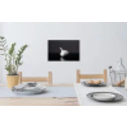 Knoflook - Zwart - Wit Muursticker klein -eettafel