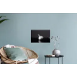 Knoflook - Zwart - Wit Muursticker klein -plant