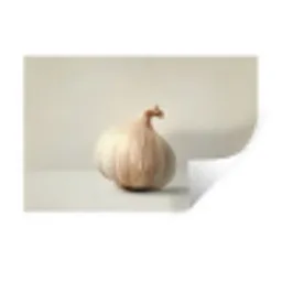 Knoflook - Natuurlijk - Beige Muursticker klein -3d