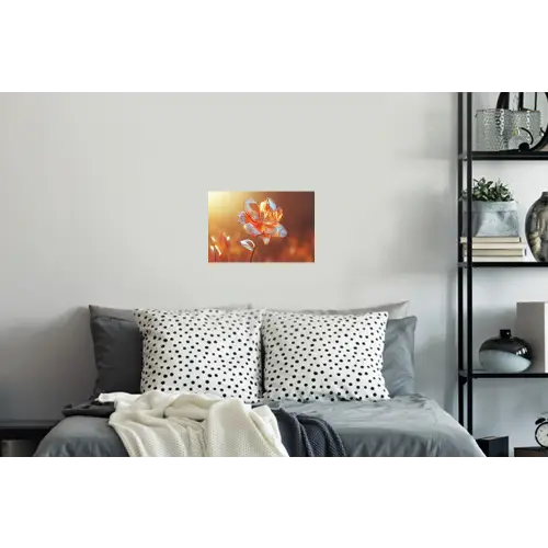 Glazen - Bloem - Zonlicht Muursticker klein -slaapkamer