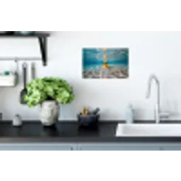 Duikbril - Eend - Water Muursticker klein -keuken