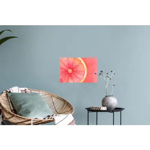 Grapefruit - Roze - Levendig Muursticker klein -plant