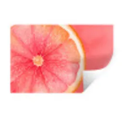 Grapefruit - Roze - Levendig Muursticker klein -3d