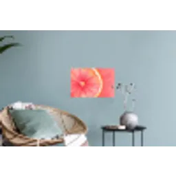 Grapefruit - Roze - Levendig Muursticker klein -plant
