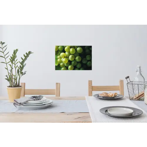 Druiven - Tros - Groen Muursticker klein -eettafel