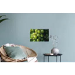 Druiven - Tros - Groen Muursticker klein -plant