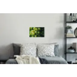 Druiven - Tros - Groen Muursticker klein -slaapkamer