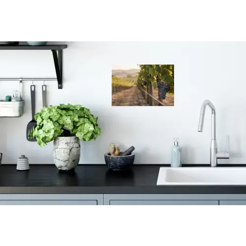 Druiven - Wijngaard - Zonlicht Muursticker klein -keuken