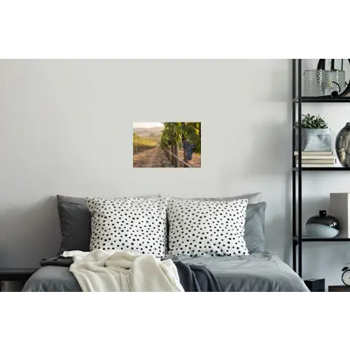 Druiven - Wijngaard - Zonlicht Muursticker klein -slaapkamer
