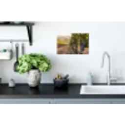 Druiven - Wijngaard - Zonlicht Muursticker klein -keuken