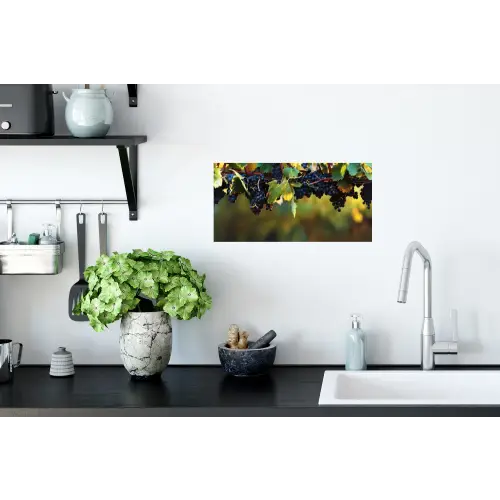 Druiven - Wijn - Natuur - Groen Muursticker klein -keuken