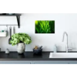 Grassprieten - Lichtinval - Groen Muursticker klein -keuken