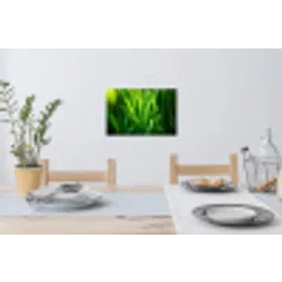 Grassprieten - Lichtinval - Groen Muursticker klein -eettafel