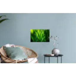 Grassprieten - Lichtinval - Groen Muursticker klein -plant