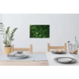 Groen - Bladeren - Kartel - Zonlicht Muursticker klein -eettafel
