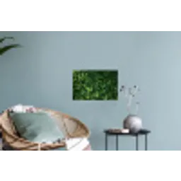 Groen - Bladeren - Kartel - Zonlicht Muursticker klein -plant
