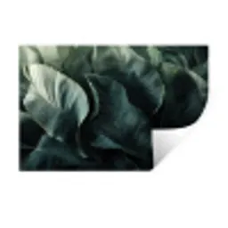 Groen - Bladeren - Glad - Nerven Muursticker klein -3d