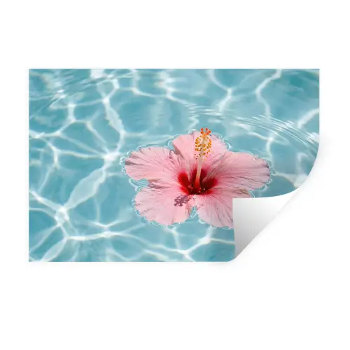 Hibiscus - Water - Roze Muursticker klein -3d