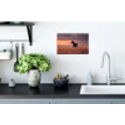 Paard - Wolken - Open veld Muursticker klein -keuken