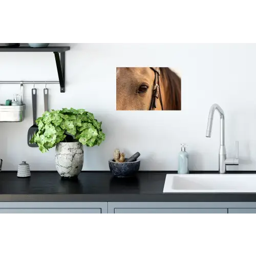 Paard - Oog - Bruin Muursticker klein -keuken