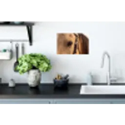 Paard - Oog - Bruin Muursticker klein -keuken