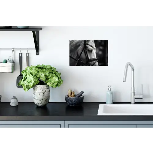 Paard - Schimmel - Portret Muursticker klein -keuken