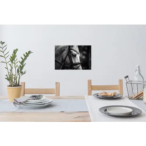 Paard - Schimmel - Portret Muursticker klein -eettafel