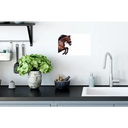 Paard - Springen - Modern Muursticker klein -keuken