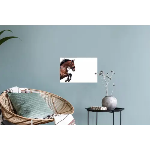 Paard - Springen - Modern Muursticker klein -plant