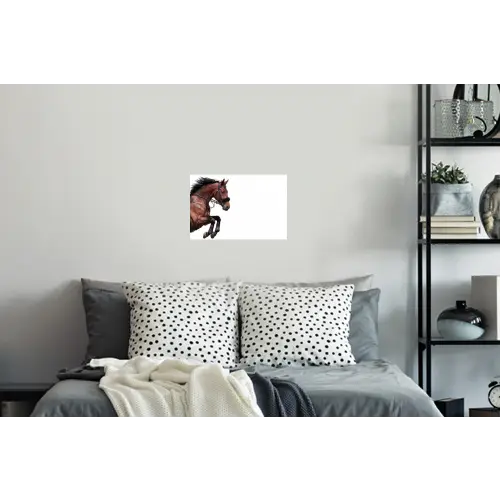 Paard - Springen - Modern Muursticker klein -slaapkamer