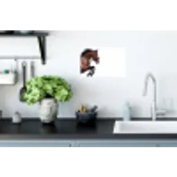 Paard - Springen - Modern Muursticker klein -keuken