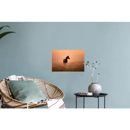 Paard - Grasveld - Zonsondergang Muursticker klein -plant