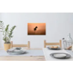 Paard - Grasveld - Zonsondergang Muursticker klein -eettafel
