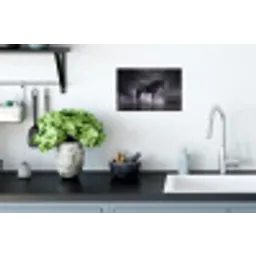 Paard - Magisch - Zwart Muursticker klein -keuken