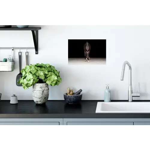Paard - Modern - Portret Muursticker klein -keuken