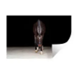 Paard - Modern - Portret Muursticker klein -3d