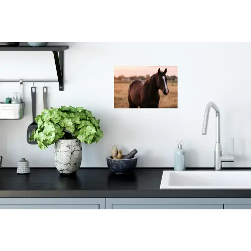 Paard - Zonsondergang - Bruin Muursticker klein -keuken