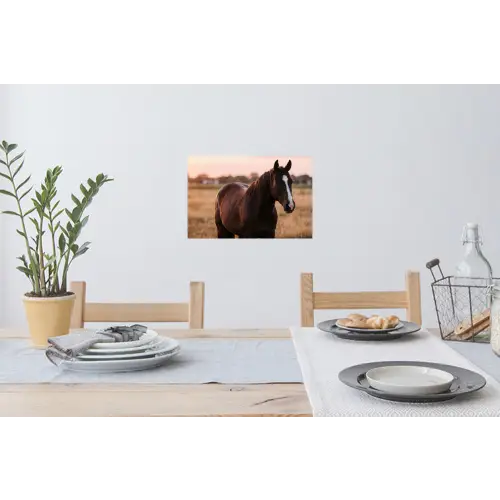 Paard - Zonsondergang - Bruin Muursticker klein -eettafel
