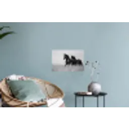 Paarden - Gras - Zwart - Wit Muursticker klein -plant