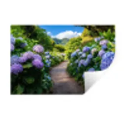 Hortsensia - Pad - Bloemen Muursticker klein -3d