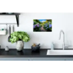 Hortsensia - Pad - Bloemen Muursticker klein -keuken